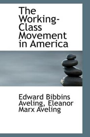 Cover of The Working-Class Movement in America