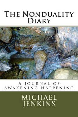 Book cover for The Nonduality Diary