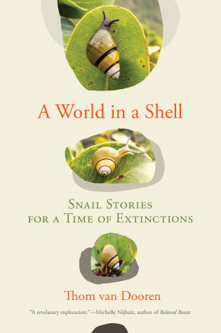 Cover of A World in a Shell