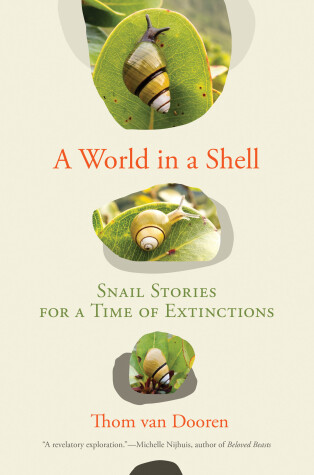 Book cover for A World in a Shell