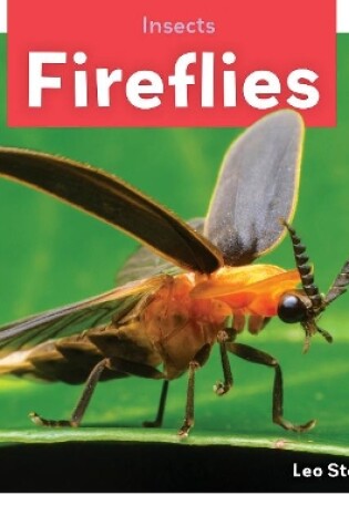 Cover of Insects: Fireflies