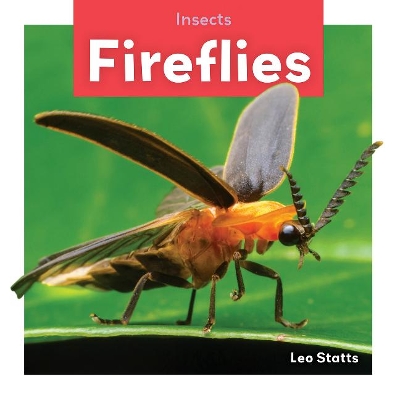 Book cover for Insects: Fireflies