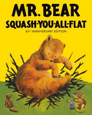 Book cover for Mr Bear Squash You All Flat