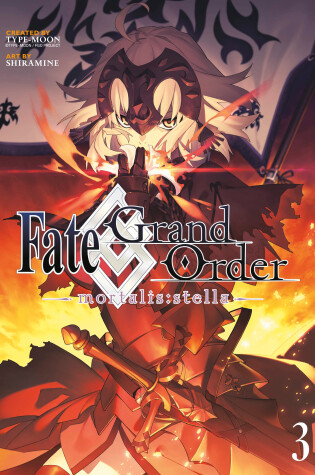 Cover of Fate/Grand Order -mortalis:stella- 3 (Manga)