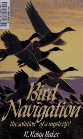 Book cover for Bird Navigation