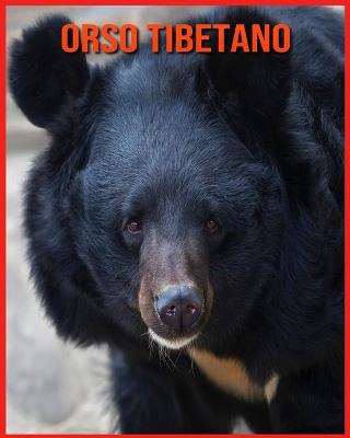 Book cover for Orso Tibetano