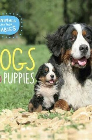 Cover of Dogs and Puppies