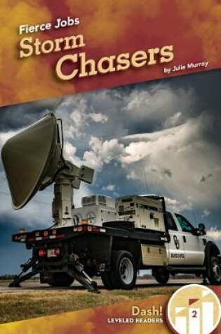 Cover of Storm Chasers