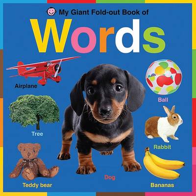 Cover of My Giant Fold-Out Book of Words