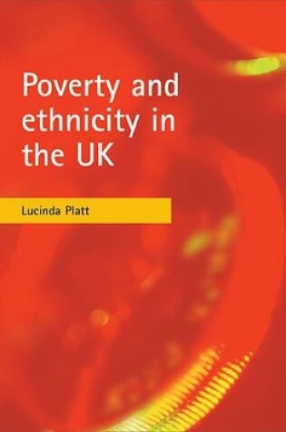 Cover of Poverty and ethnicity in the UK