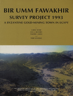 Book cover for Bir Umm Fawakhir Survey Project 1993