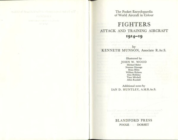 Cover of Fighters