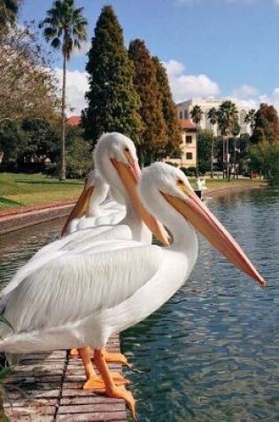 Cover of Two White Pelicans at a Lake in Florida Bird Journal