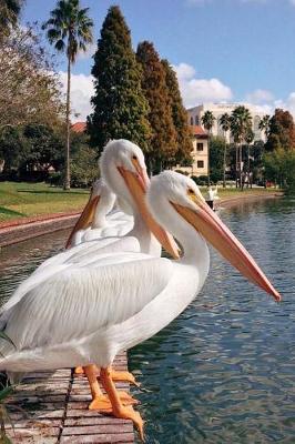 Book cover for Two White Pelicans at a Lake in Florida Bird Journal