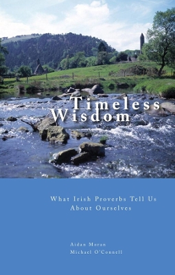 Book cover for What Irish Proverbs Tell Us About Ourselves