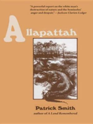 Book cover for Allapattah