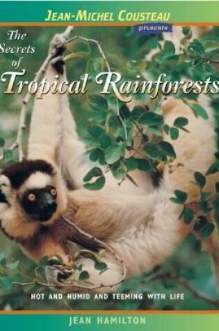 Cover of The Secrets of Tropical Rainforests