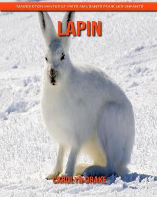 Book cover for Lapin