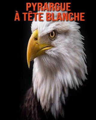 Book cover for Pyrargue à Tête Blanche