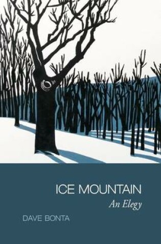 Cover of Ice Mountain