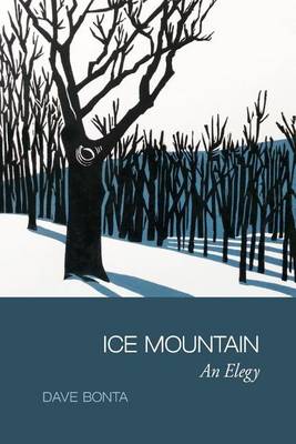 Book cover for Ice Mountain