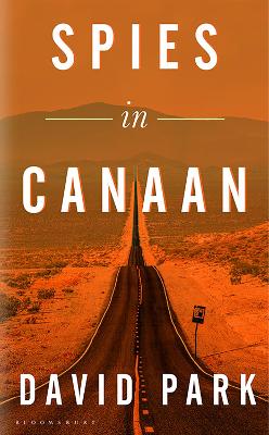 Book cover for Spies in Canaan