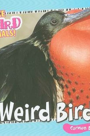 Cover of Weird Birds