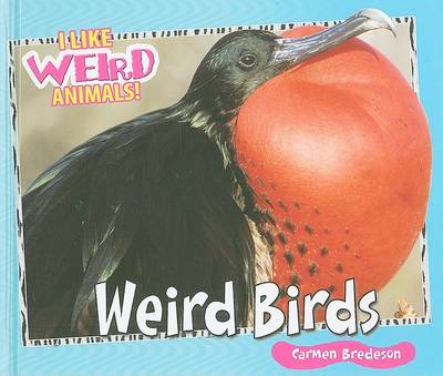 Book cover for Weird Birds