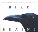 Book cover for Bird Brains