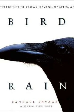 Cover of Bird Brains