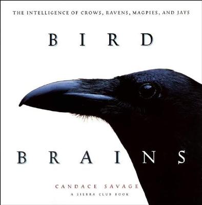 Book cover for Bird Brains