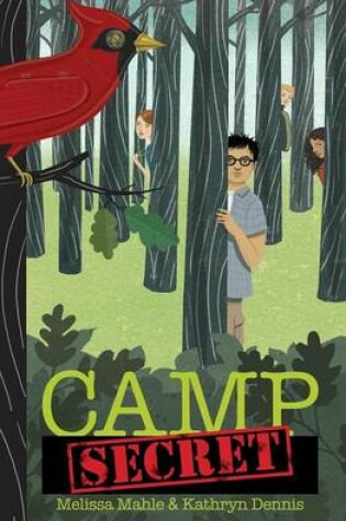 Cover of Camp Secret