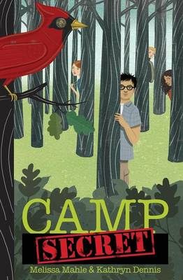 Cover of Camp Secret