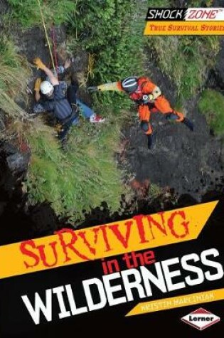 Cover of Surviving in the Wilderness