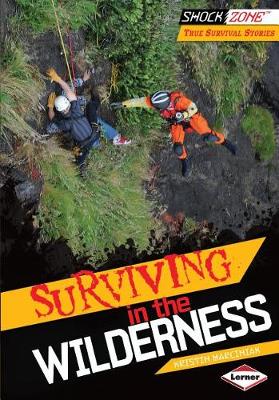 Book cover for Surviving in the Wilderness