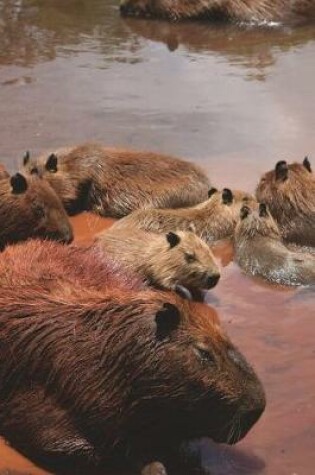 Cover of Group Photo of a Bunch of Capybaras by the Water Journal