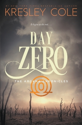 Book cover for Day Zero