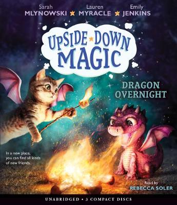 Book cover for Dragon Overnight