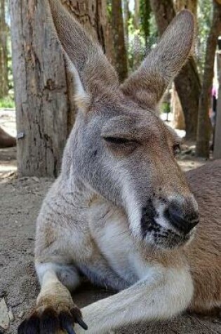 Cover of Kangaroo Taking a Nap Journal