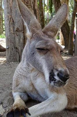 Book cover for Kangaroo Taking a Nap Journal