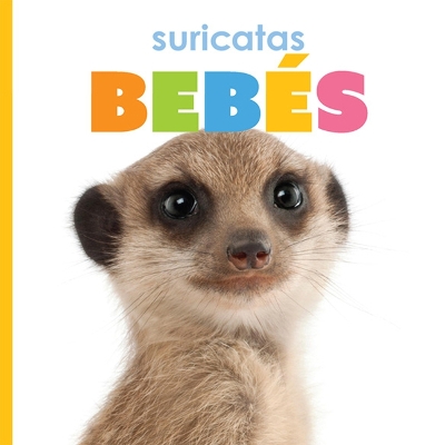 Book cover for Suricatas Bebés