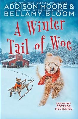 Book cover for A Winter Tail of Woe