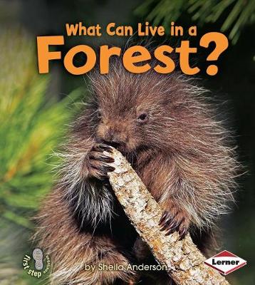 Cover of What Can Live in a Forest?