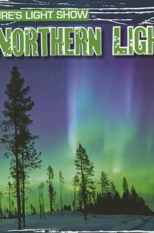 Cover of The Northern Lights