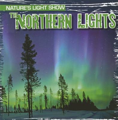 Book cover for The Northern Lights