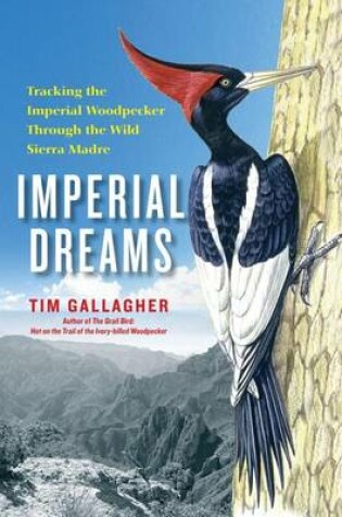 Cover of Imperial Dreams: Tracking the Imperial Woodpecker Through the Wild Sierr