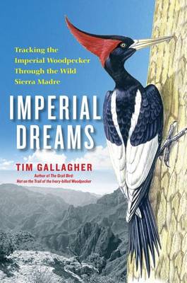 Book cover for Imperial Dreams: Tracking the Imperial Woodpecker Through the Wild Sierr