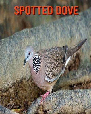 Book cover for Spotted Dove