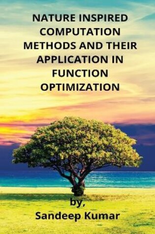 Cover of Nature Inspired Computation Methods and Their Application in Function Optimization
