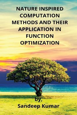 Book cover for Nature Inspired Computation Methods and Their Application in Function Optimization